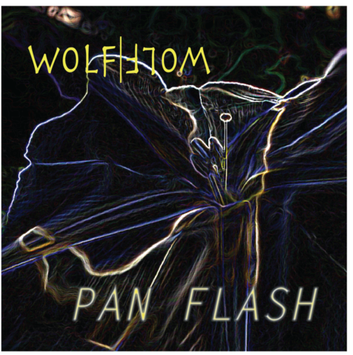 Album Art 3 - Pan Flash by Wolf Wolf