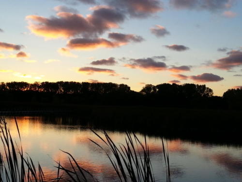 Wood-Lake-at-Sunset-1