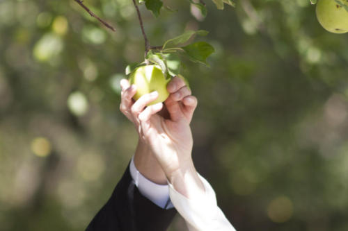 Garden-of-Eden-Wedding-1302