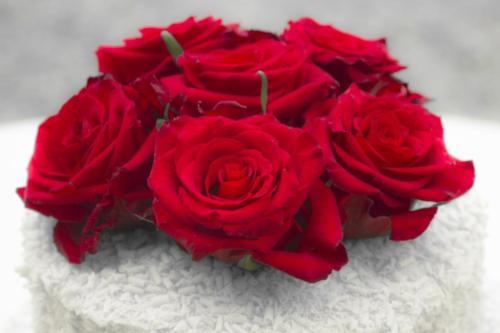 Wedding-Cake-1412-2